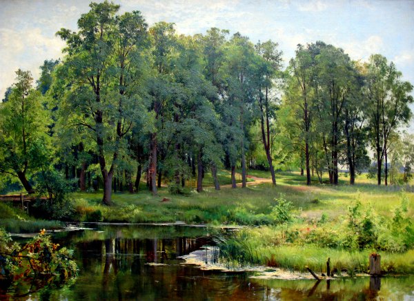 In the Park. The painting by Ivan Ivanovich Shishkin