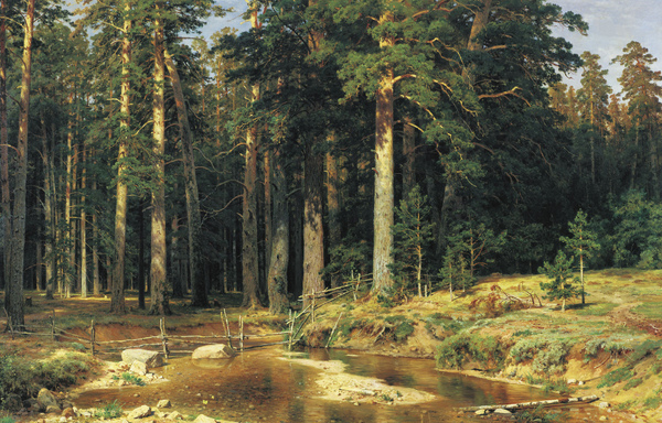 Mast-Tree Grove. The painting by Ivan Ivanovich Shishkin
