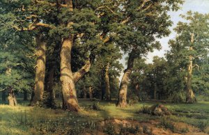 Ivan Ivanovich Shishkin, Oak Grove, Painting on canvas