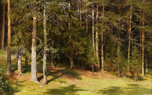 Ivan Ivanovich Shishkin, The Clearing, Painting on canvas