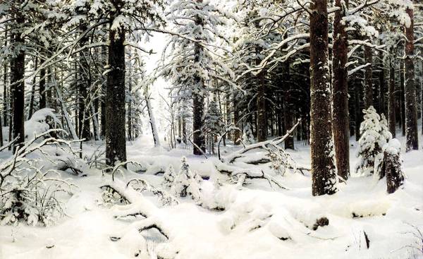 Winter Landscape. The painting by Ivan Ivanovich Shishkin