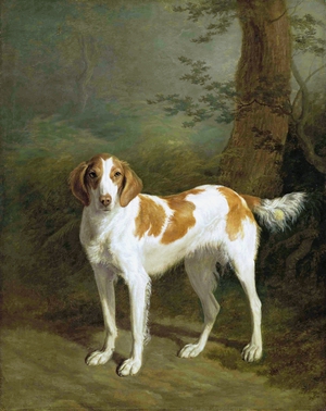 Dash, a setter in a Wooded Landscape
