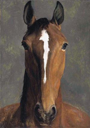 Famous paintings of Horses-Equestrian: A Head of a Bay Horse