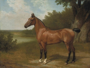 Jacques-Laurent Agasse, Lord Bingley's Hunter in a Wooded River Landscape, Painting on canvas