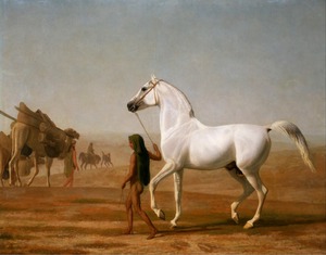 Reproduction oil paintings - Jacques-Laurent Agasse - The Wellesley Grey Arabian Led through the Desert