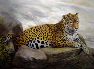 Our Originals, Jaguar Lying On The Rocks, Painting on canvas