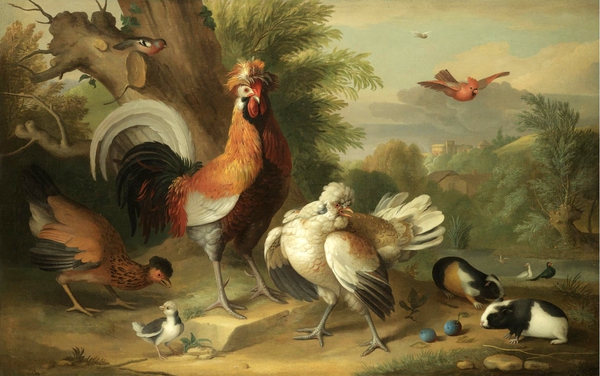 A Cockerel, Chickens, and other Birds with Guinea Pigs in a Landscape. The painting by Jakob Bogdany