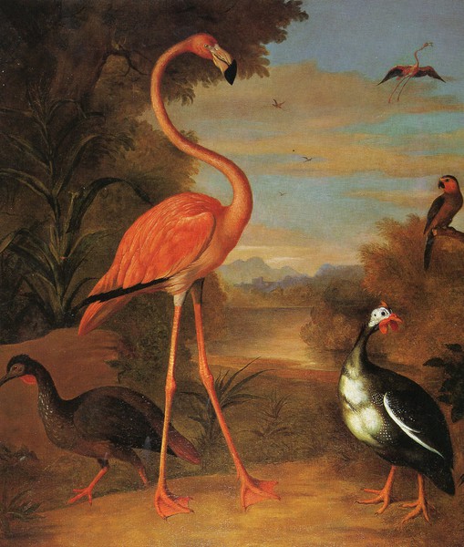 A Flamingo, Peahen and Parakeet in an Exotic River Landscape. The painting by Jakob Bogdany
