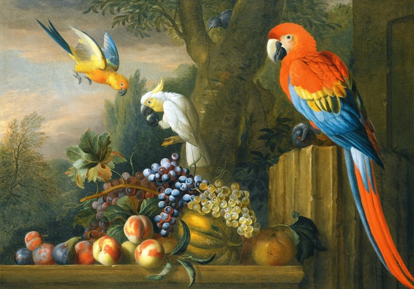 A Still Life with Fruit, Parrots, and a Cockatoo. The painting by Jakob Bogdany
