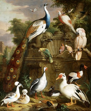 Jakob Bogdany, Birds in a Landscape, Painting on canvas