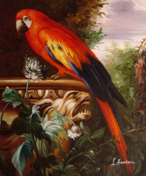 Jakob Bogdany, Scarlet Macaw In A Landscape, Painting on canvas
