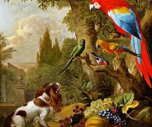 Jakob Bogdany, Still Life with Fruits and Parrots, Art Reproduction