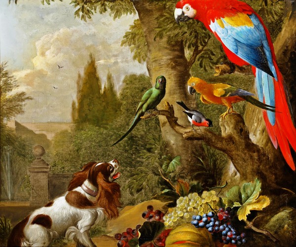 Still Life with Fruits and Parrots. The painting by Jakob Bogdany