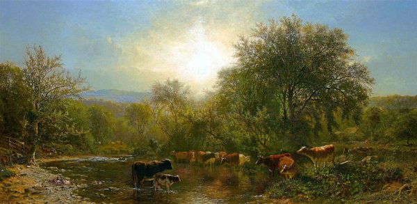 Cows Watering. The painting by James Mcdougal Hart