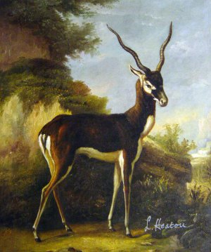 Jean-Baptiste Oudry, Indian Blackbuck, Painting on canvas