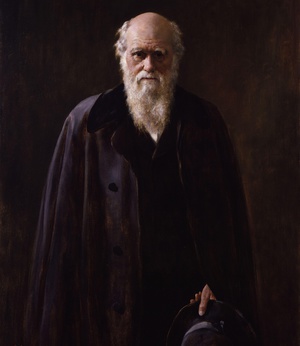 John Collier, Charles Robert Darwin, 1881, Painting on canvas