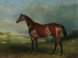 John Ferneley, Mr. Richard Watt's Rockingham, Winner of the 1833 St. Leger, Painting on canvas
