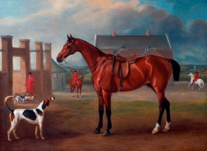 John Ferneley, The Bay Hunter Gillingham Outside the Quorn Kennels , Painting on canvas