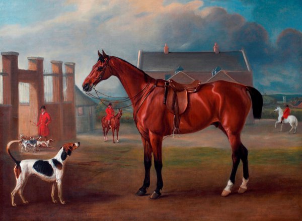The Bay Hunter Gillingham Outside the Quorn Kennels . The painting by John Ferneley