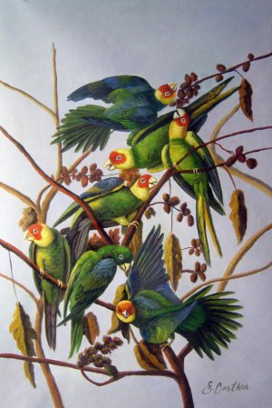 John James Audubon, Carolina Parrots, Painting on canvas