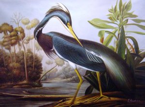 John James Audubon, Louisiana Heron, Painting on canvas