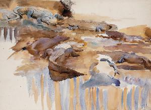 John Singer Sargent, Alligators, Painting on canvas