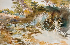 John Singer Sargent, Landscape with Palmettos, Painting on canvas
