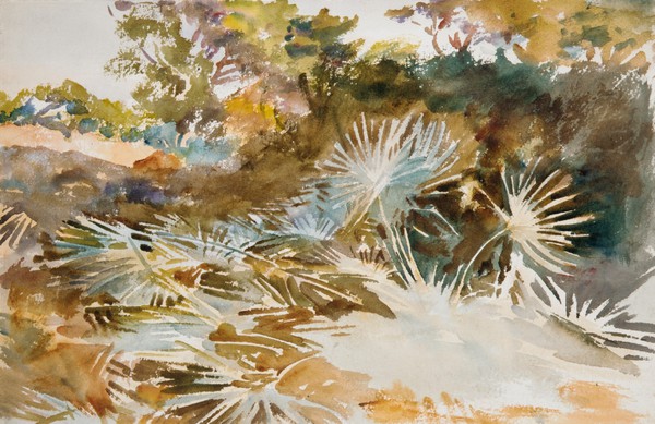 Landscape with Palmettos. The painting by John Singer Sargent