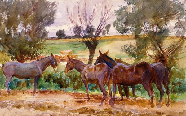Mules. The painting by John Singer Sargent