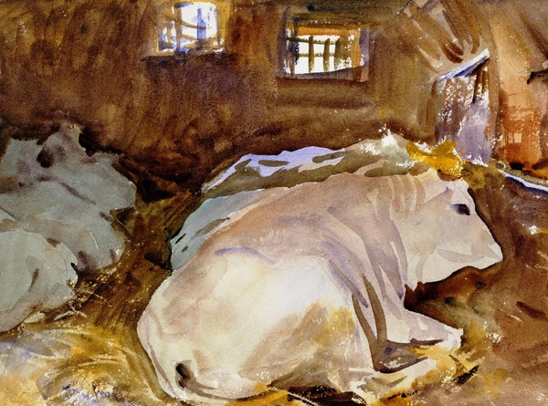 Oxen. The painting by John Singer Sargent