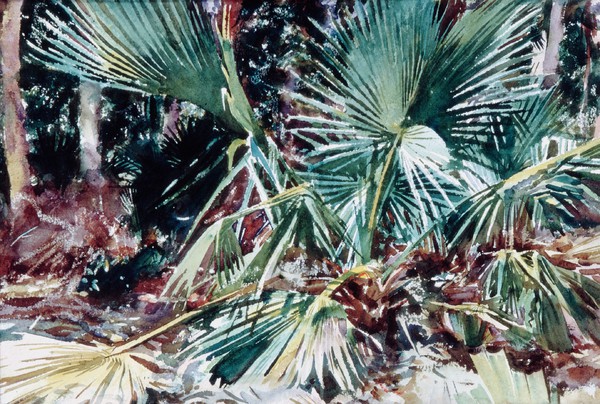 Palmettos. The painting by John Singer Sargent