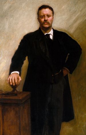 John Singer Sargent, Theodore Roosevelt, Painting on canvas