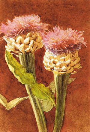 John Singer Sargent, Thistle, Painting on canvas