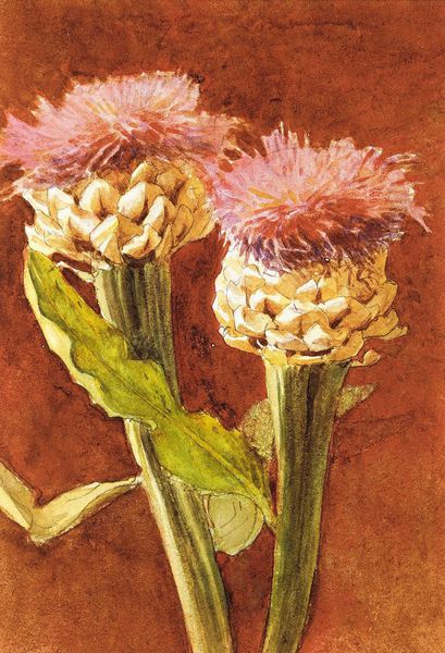 Thistle. The painting by John Singer Sargent