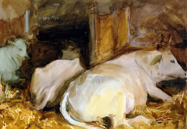 Three Oxen. The painting by John Singer Sargent