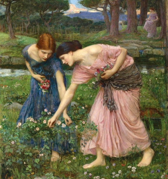 Rosebuds Being Gathered. The painting by John William Waterhouse