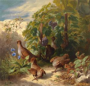 Josef Schuster, Partridges, Painting on canvas