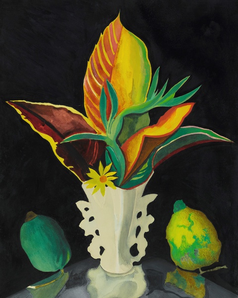 Croton Leaves in a Vase. The painting by Joseph Stella