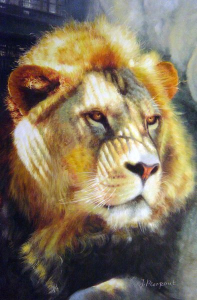 King Of The Jungle. The painting by Our Originals