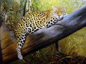 Our Originals, Lazy Leopard, Painting on canvas