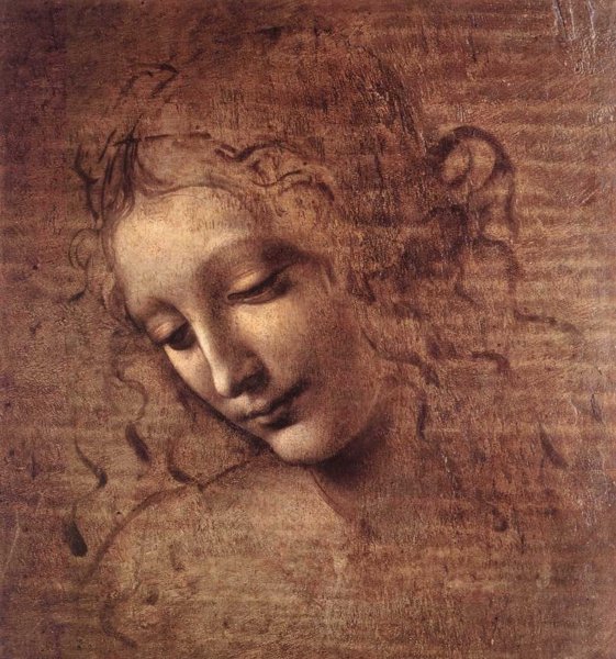 The Female Head. The painting by Leonardo Da Vinci