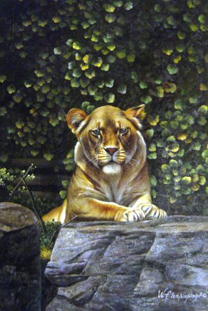Our Originals, Lioness, Painting on canvas