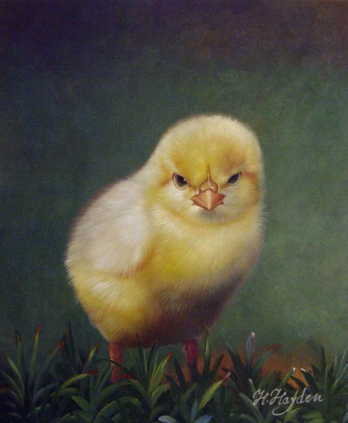 Little Chick. The painting by Our Originals