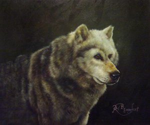 Our Originals, Lone Wolf, Painting on canvas