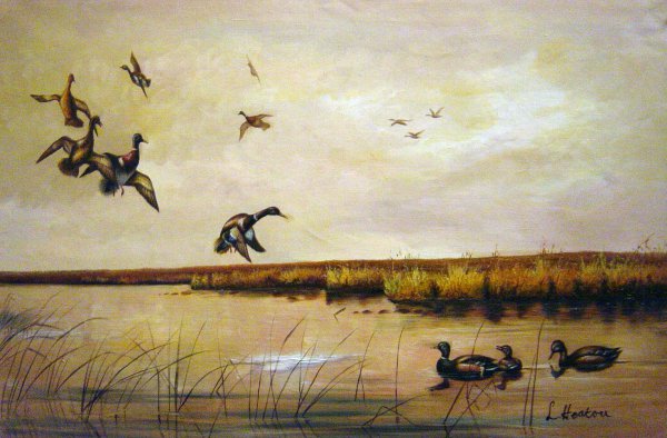 Coming In. The painting by Louis Agassiz Fuertes