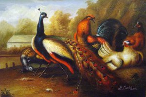 Reproduction oil paintings - Marmaduke Cradock - Peacock And Pheasant