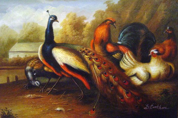 Peacock And Pheasant. The painting by Marmaduke Cradock