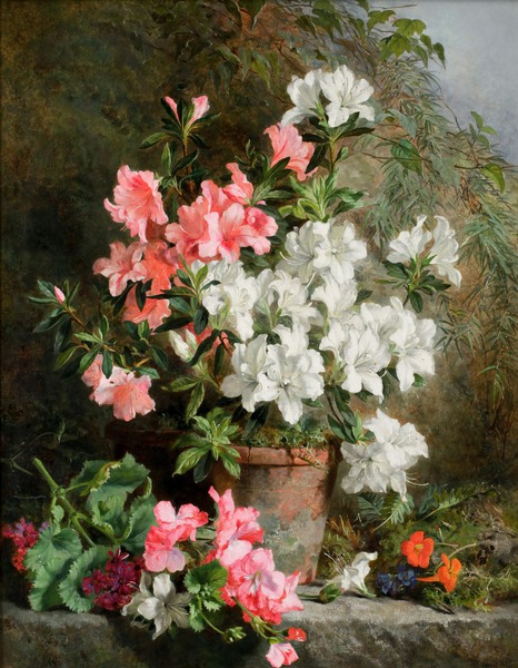 A Beautiful Flower Still Life. The painting by Martha Darley Mutrie