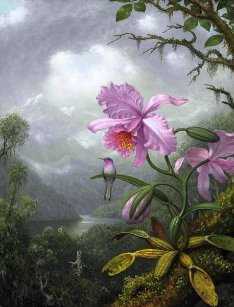 A Hummingbird Perched on the Orchid Plant. The painting by Martin Johnson Heade