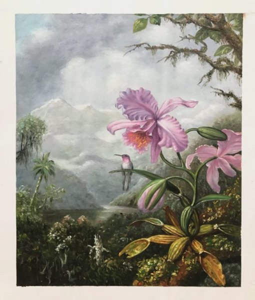 A Hummingbird Perched on the Orchid Plant Oil Painting Reproduction